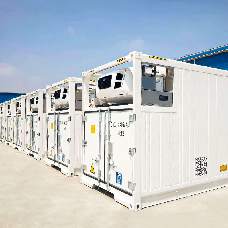 40 voet spoorweg reefer container